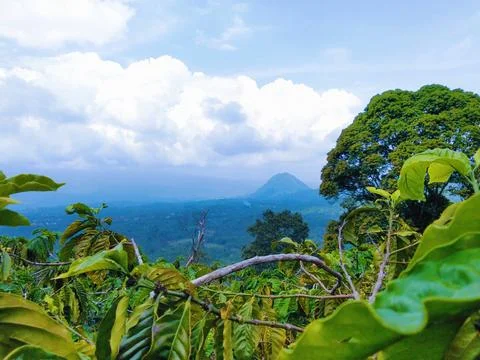 View of the mountains Stock Photos