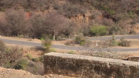 View of mountains road moving traffic. Stock Footage 170240853