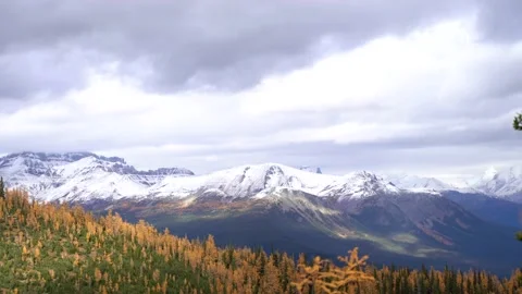 View of Mountains with snow peaks and pine woods in Banff National Park. Stock Footage 197042772