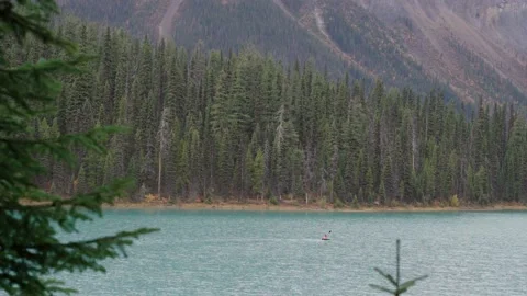 View of Mountains with snow peaks and pine woods in Banff National Park Stock Footage 197043385