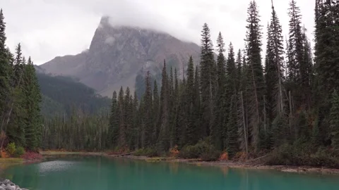 View of Mountains with snow peaks and pine woods in Banff National Park Stock Footage 197043497