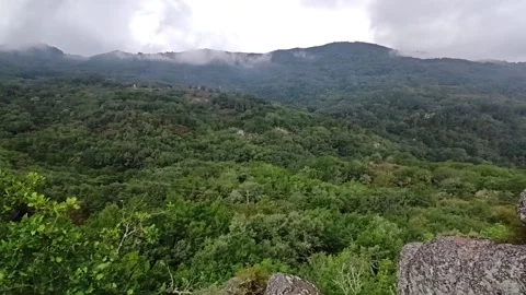View from the mountains to a spacious wild mountain valley among the forest Stock Footage 236256684