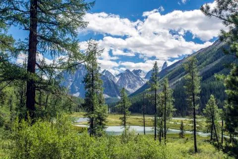 View of the mountains through the field. Stock Photos
