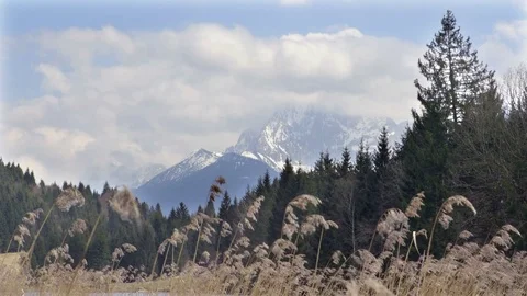 View on the mountains through the grass Stock Footage 74677182