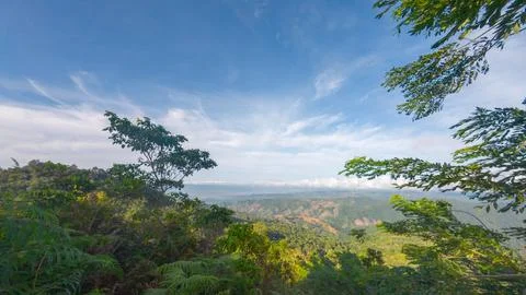 View of Mountains Through Trees Under Blue Sky Stock Photos