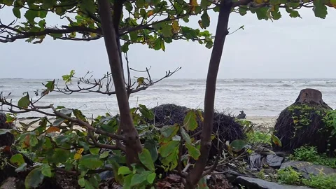A view from a moving bus of a beach flooded with monsoon water waves Stock Footage 247370726