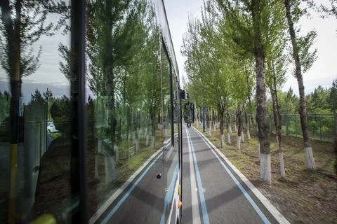 View from a Moving Bus Window Driving Along a Scenic Tree-Lined Road Stock Photos