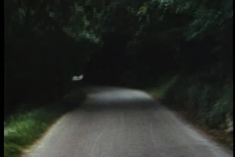 View from moving car driving down country road Stock Footage 11354865