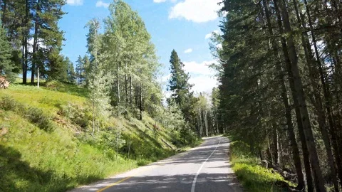 View from the moving car while driving along the local natural way in canada Stock Footage 120019801