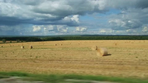View from moving car window field with folded hay in bobbins. Stock Footage 206795287