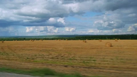 View from moving car window folded hay in bobbins. Video stock 208000594