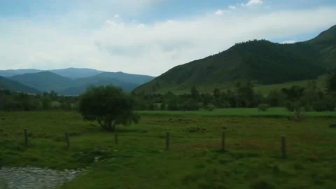 View from moving car window. Picturesque roadside. 스톡 동영상 211059309