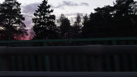 The view from a moving car window of a pink sunset and trees in the c Stock Footage 289436187