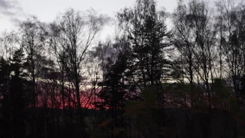 The view from a moving car window of a pink sunset and trees in the countryside Stock Footage 289436208