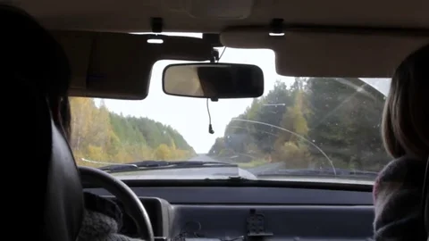View from a moving car on the woods Stock Footage 71825615