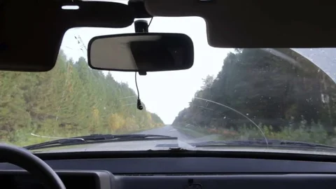 View from a moving car on the woods Stock Footage 71825646