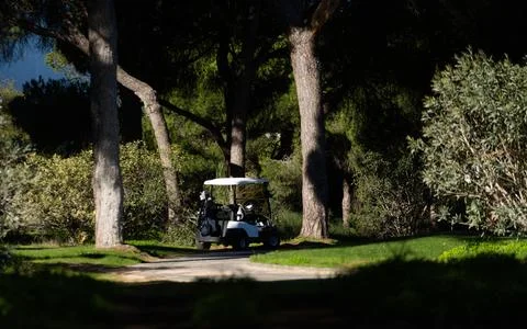 View of the moving cart on the golf course Stock Photos