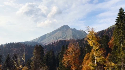 View from the moving funicular to the autumn forest in highlands Stock Footage 106853650