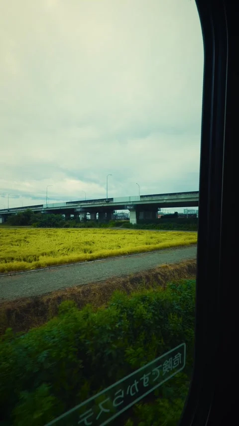 View from moving train passing golden rice fields in Japan Stock Footage 346204164