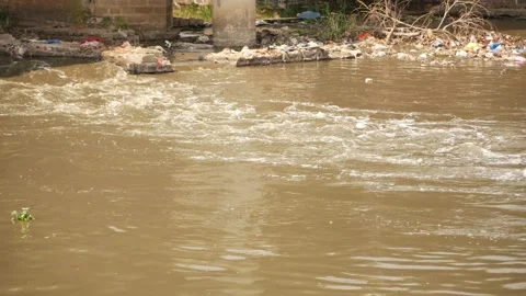 View of moving water with garbage collected at the shores of river Stock-Footage 148541023