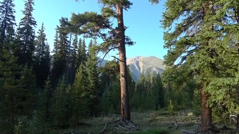 View from Mt. Elbert 2 Stock Footage 94049316