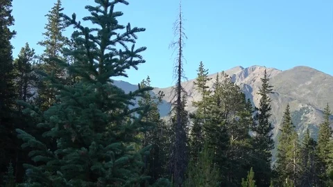 View from Mt. Elbert 3 Stock Footage 94049226