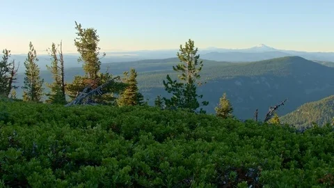 View of Mt. Jefferson from Mt. Hood Oregon Cascades 37 Stock Footage 81933975