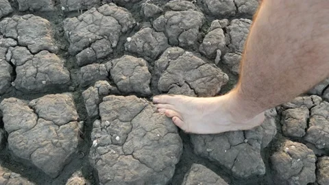 View of mud cracks in the parched soil Stock Footage 94816937