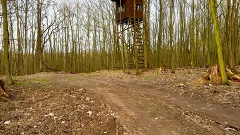 View Of A Muddy Forest Road And Wooden Hiding Spot For Hunters Stock Footage 270521967
