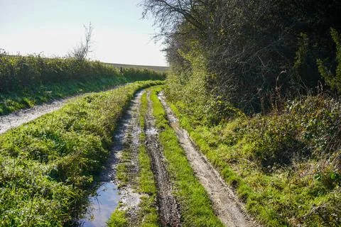 View of a muddy single track dirt road Stockfoto's