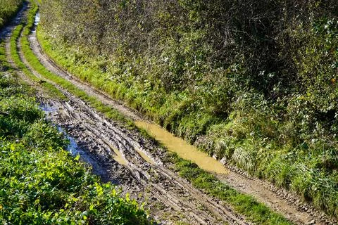 View of a muddy single track dirt road Fotos de archivo