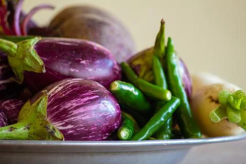 View of multi-colored vegetables ( chili pepper, brinjal, radish, beetroot) Stock Photos