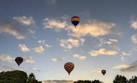 View of Multiple Multi Colored Hot Air Balloons Floating in a Beautiful Morning Stock Photos