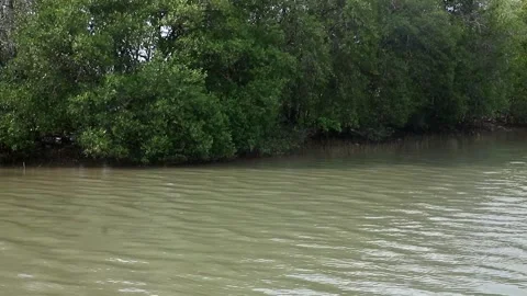 View of a murky river after rain Stock Footage 262418607