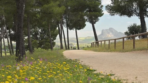 View from the museum parc ok of Peña de los Enamorados in Antequera in Spain Stockbeeldmateriaal 310373195