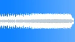 The ViewStock Music