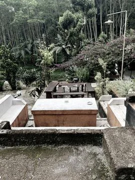 View at my Backyard Foto stock