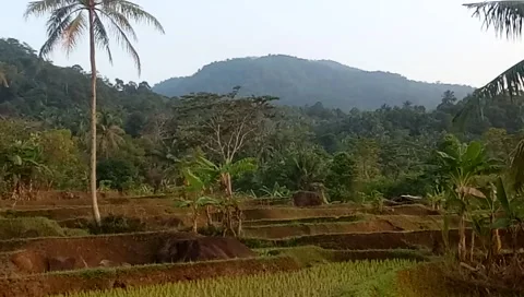 View of my village Video stock 244555949