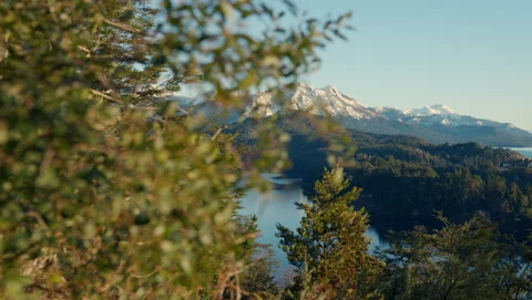 View Of Nahuel Huapi Park From The Pine Trees Stock Footage 231248503