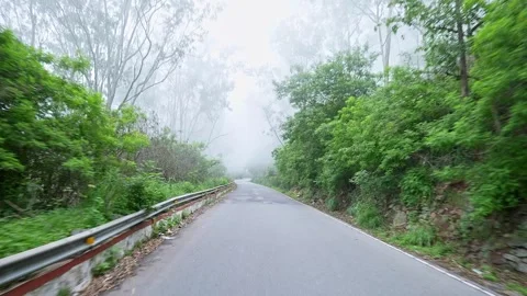 View of Nandi hill roadway surrounded by dense green trees and lush vegetatio Stock Footage 339570801