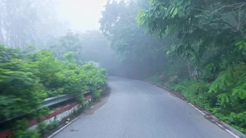 View of Nandi hill roadway surrounded by dense green trees and lush vegetatio Stock Footage 339572215