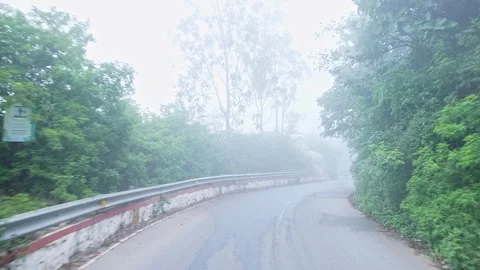 View of Nandi hill roadway surrounded by dense green trees and lush vegetatio Stock Footage 339572452