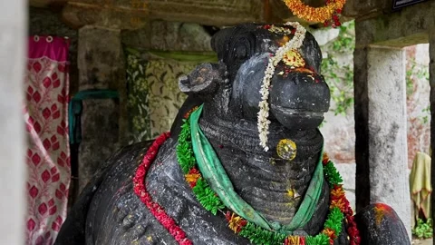 View of Nandi statue decorated with flowers at a sacred worshiping place Stock Footage 339650271