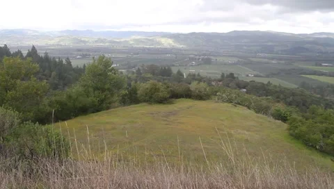 View of Napa Valley Stock Footage 1806561