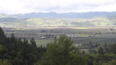 View of Napa Valley Stock Footage 1806583