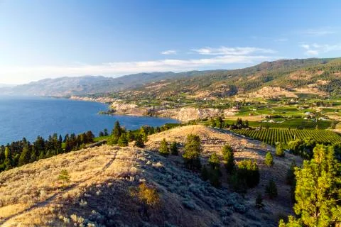 View of the Naramata Bench from Munson Mountain in the Okanagan Valley city o Photos