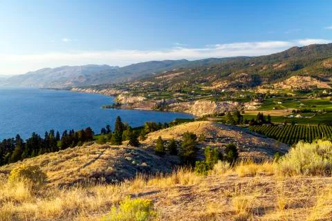 View of the Naramata Bench from Munson Mountain in the Okanagan Valley city o Photos