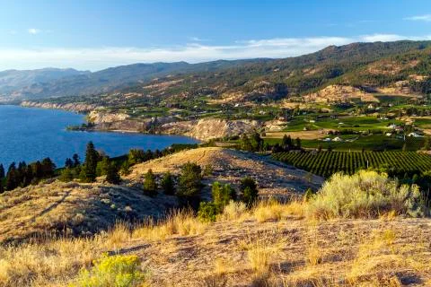View of the Naramata Bench from Munson Mountain in the Okanagan Valley city o Photos