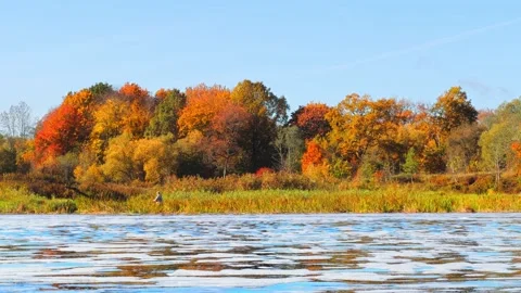 View of the narrow river from the other shore Stock Footage 219868233