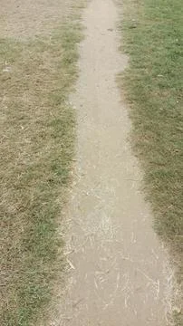 View of narrow worn dirt path cutting through patch of green grass park 写真素材